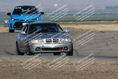 media/May-03-2024-PCA Central Coast (Fri) [[eaa7da0ee1]]/Yellow Group/Session 1 (Grapevine)/